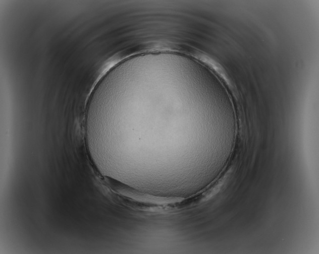 X0000086751097200705041422