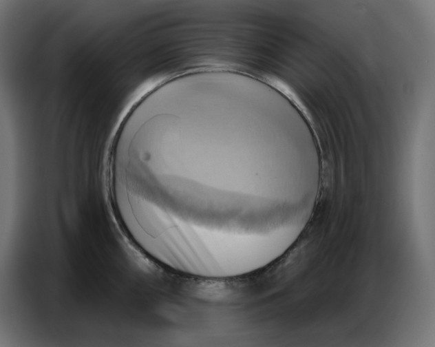 X0000086751098200705041422