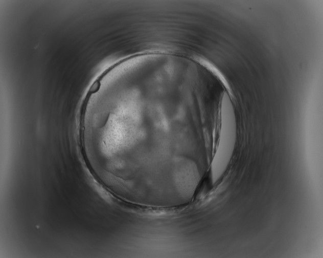 X0000086751099200705041422