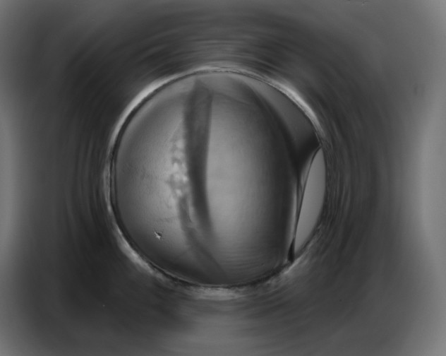 X0000086751100200705041422