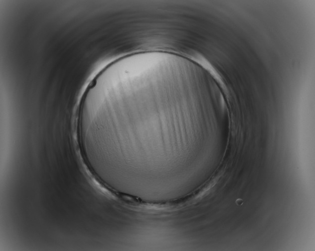 X0000086751102200705041422