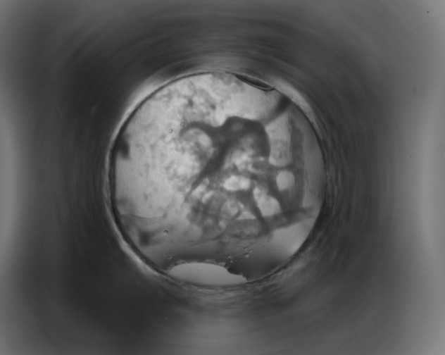 X0000086751103200705041422