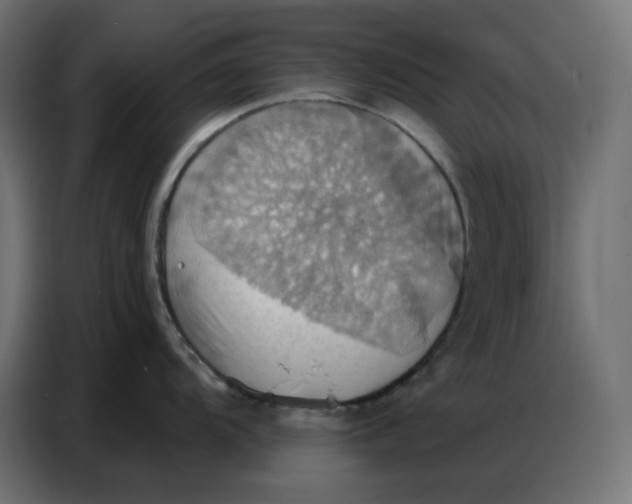 X0000086751104200705041422