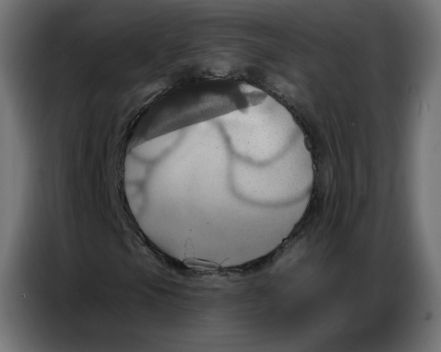 X0000086751105200705041422