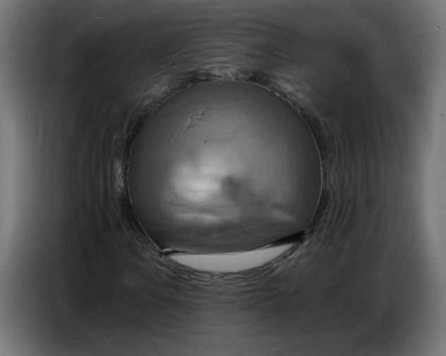 X0000086751106200705041422