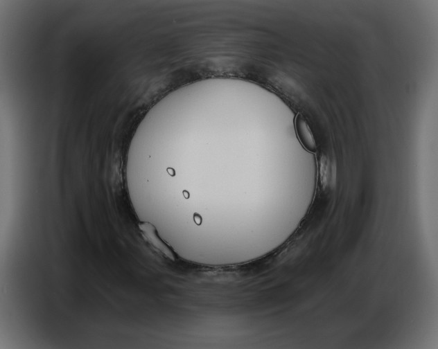 X0000086751107200705041422