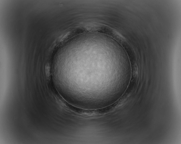 X0000086751108200705041422