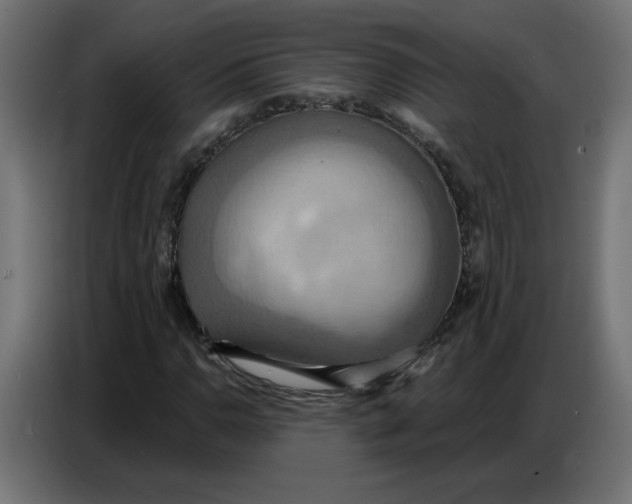 X0000086751110200705041422