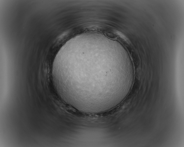 X0000086751111200705041422