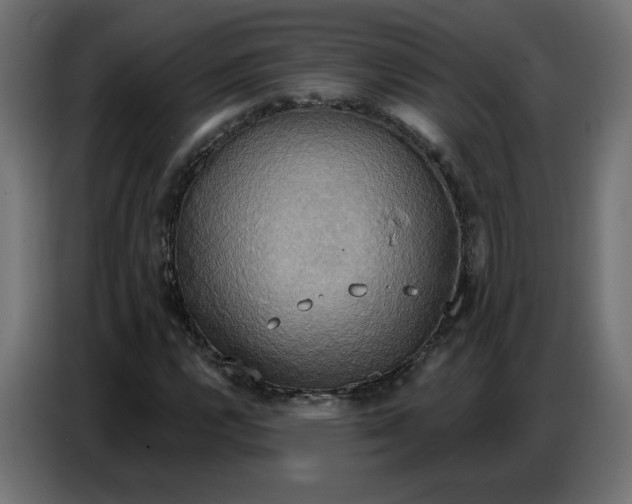 X0000086751112200705041422