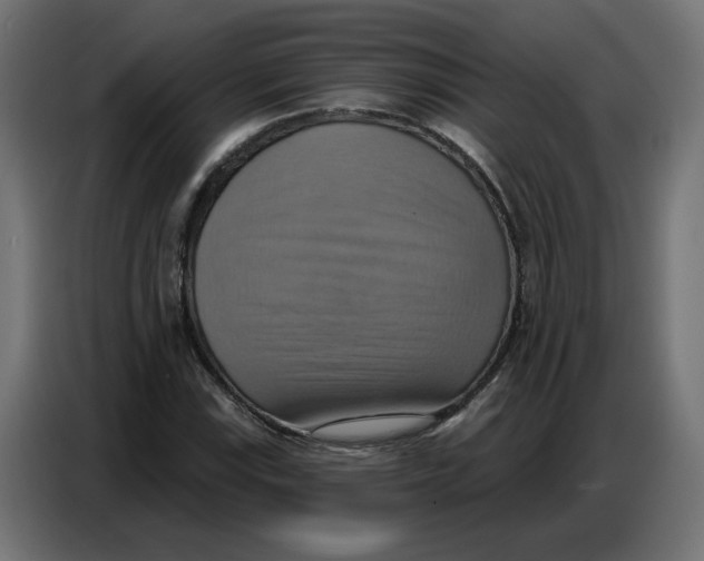 X0000086751115200705041422