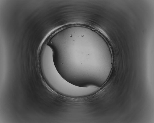 X0000086751116200705041422