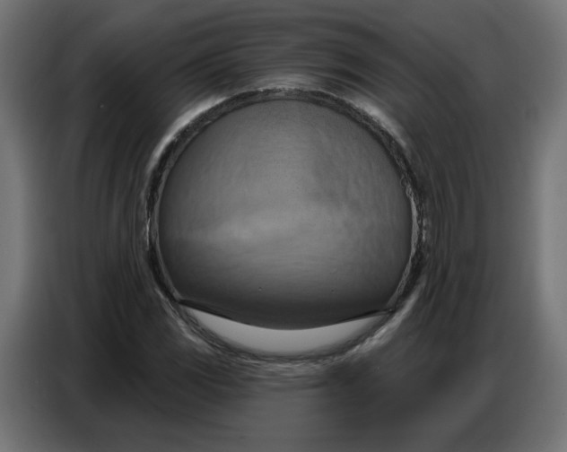 X0000086751117200705041422