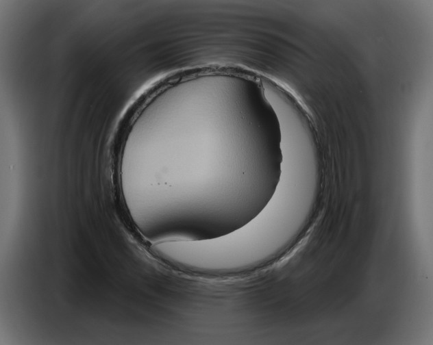 X0000086751118200705041422