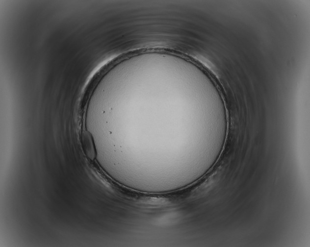 X0000086751119200705041422