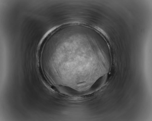 X0000086751120200705041422