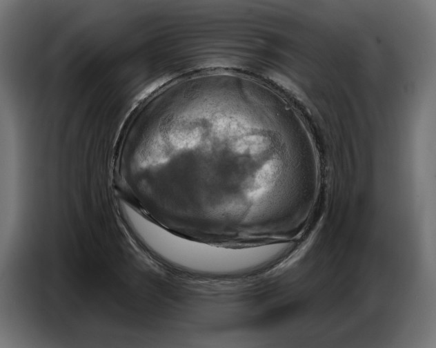 X0000086751121200705041422