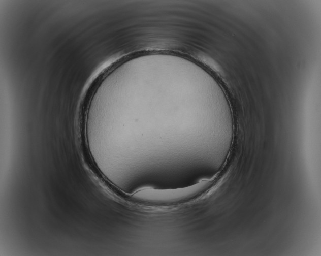 X0000086751122200705041422