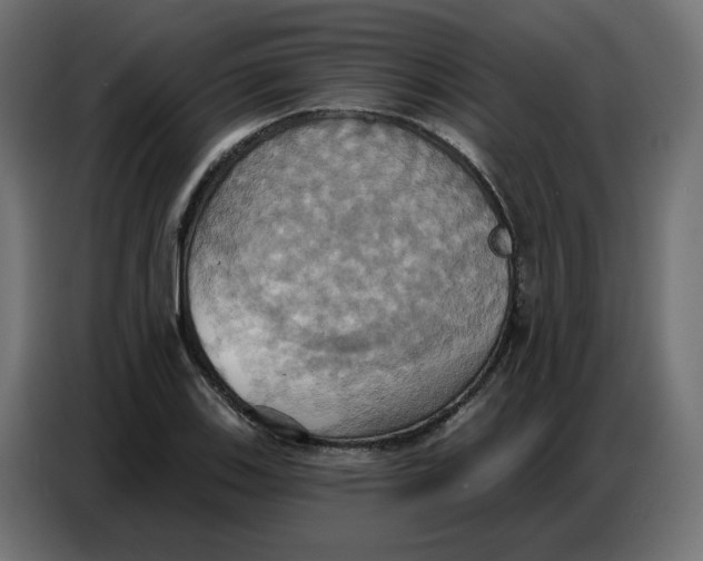 X0000086751123200705041422