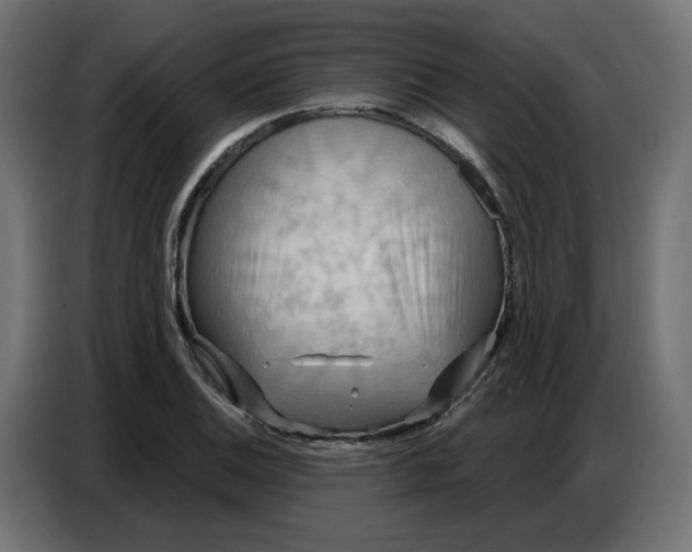 X0000086751124200705041422