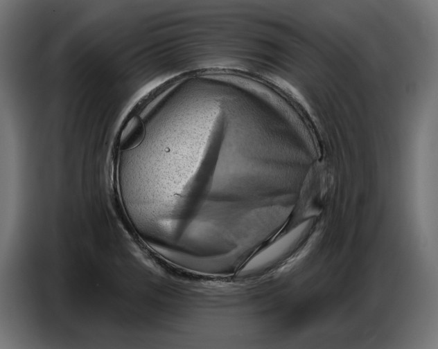 X0000086751125200705041422