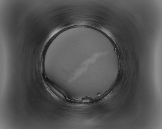 X0000086751127200705041422