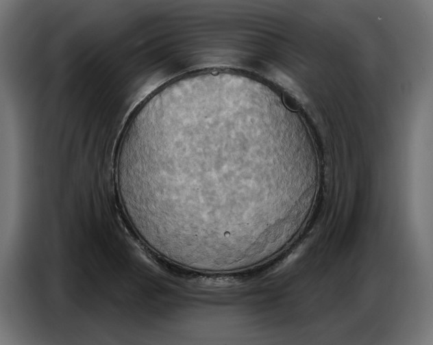 X0000086751129200705041422