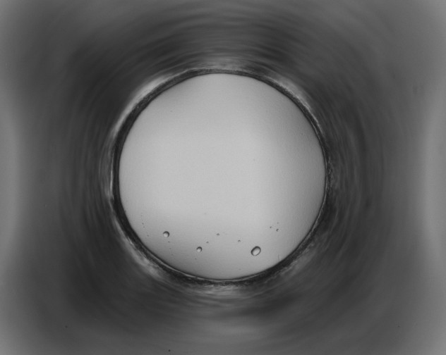 X0000086751131200705041422