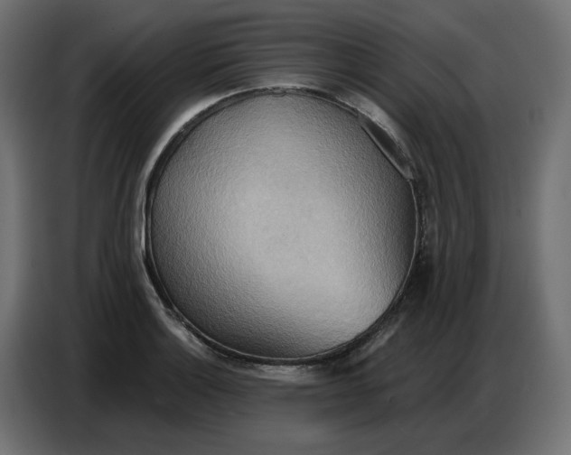 X0000086751132200705041422