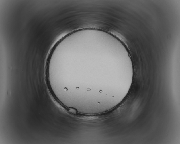 X0000086751135200705041422