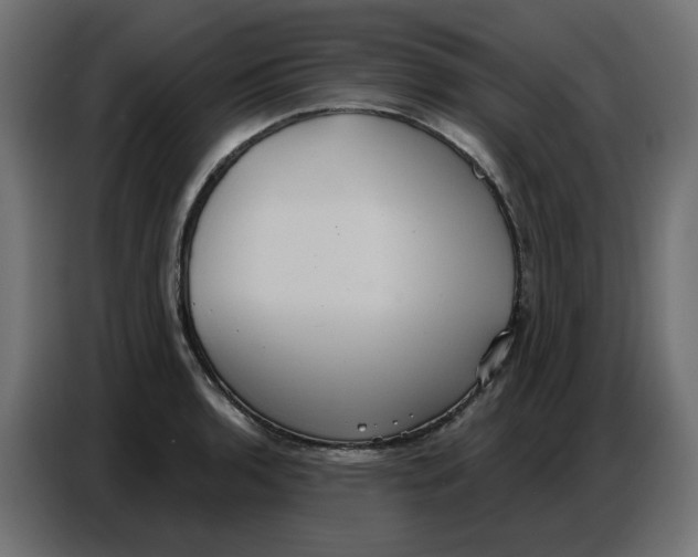 X0000086751136200705041422