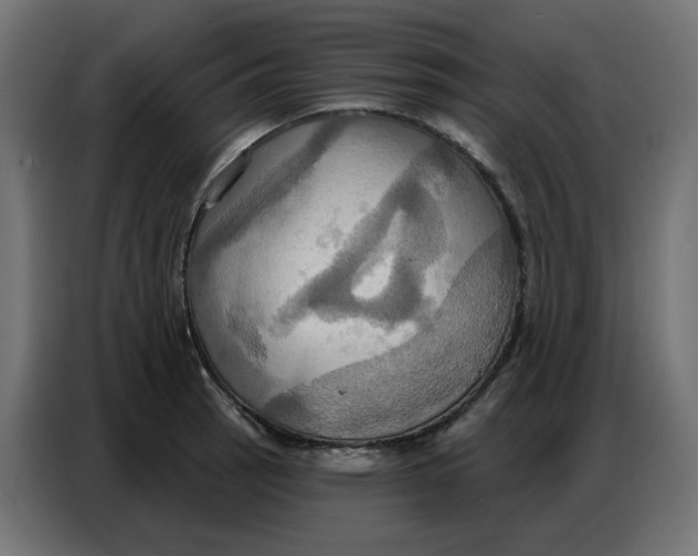 X0000086751137200705041422