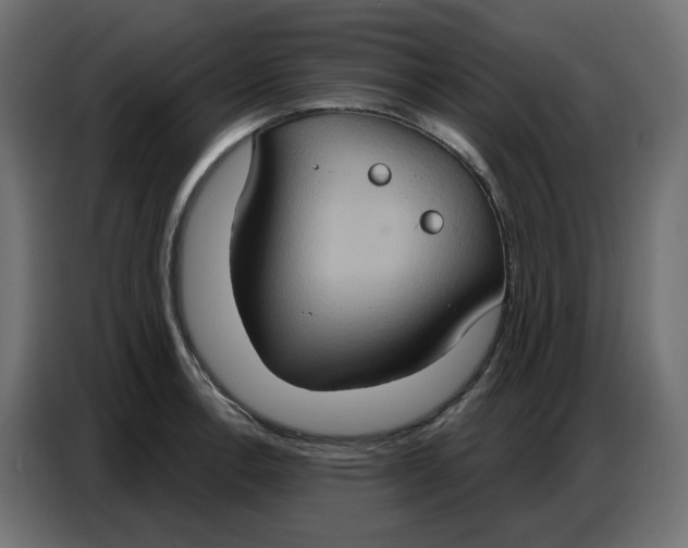 X0000086751138200705041422