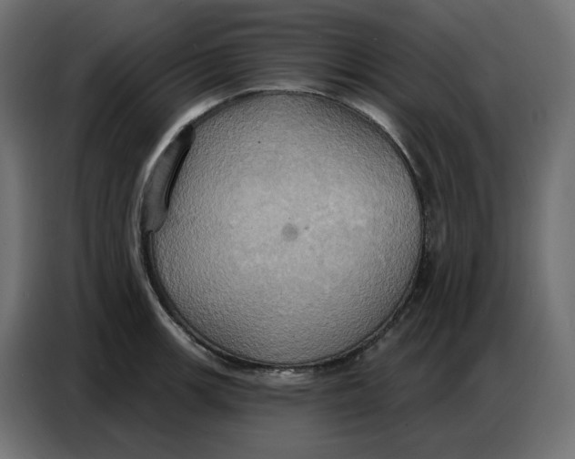 X0000086751139200705041422