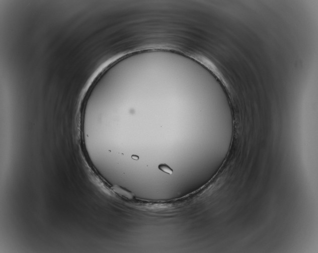 X0000086751140200705041422