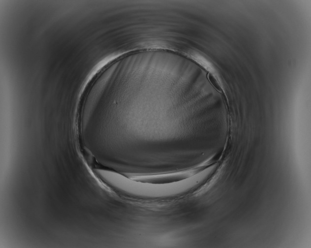 X0000086751141200705041422