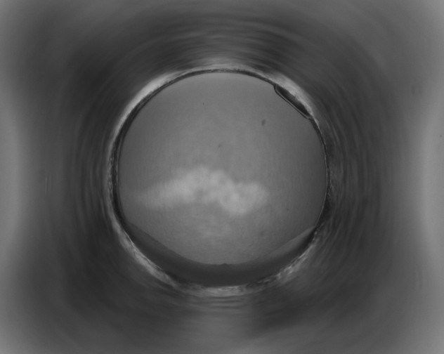 X0000086751142200705041422