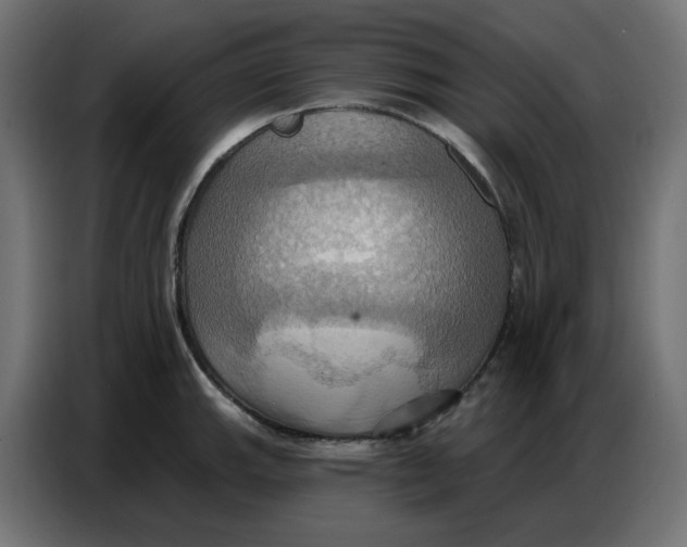 X0000086751143200705041422