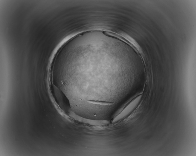 X0000086751144200705041422