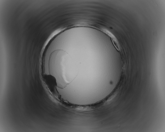 X0000086751146200705041422