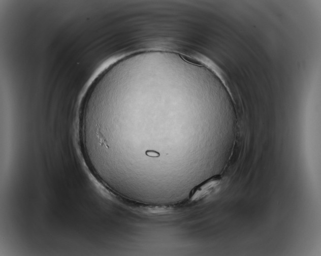 X0000086751147200705041422