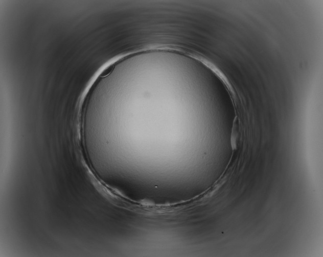 X0000086751148200705041422