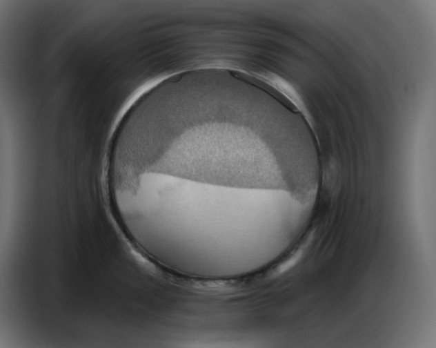 X0000086751149200705041422