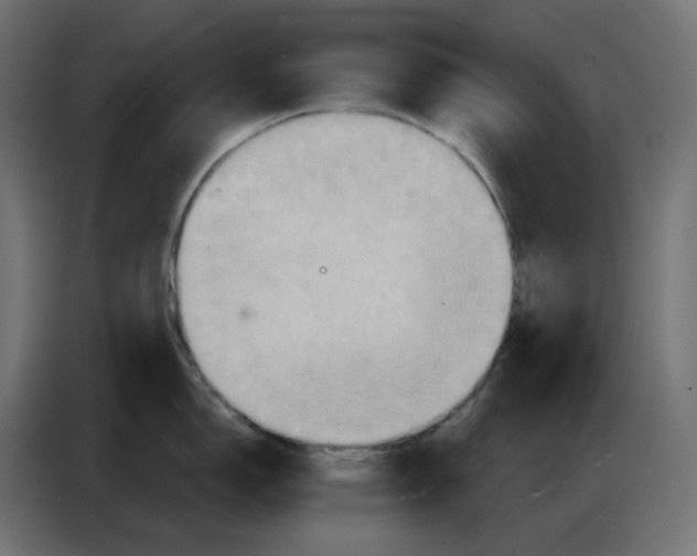 X0000086751150200705041422