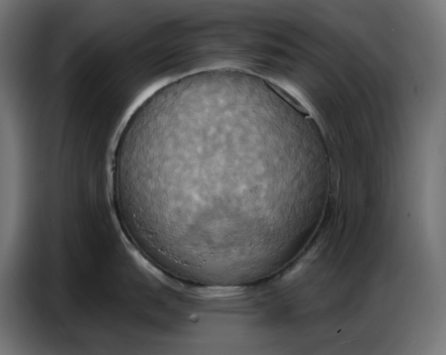 X0000086751151200705041422