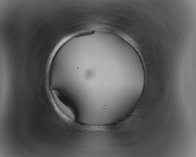 X0000086751152200705041422