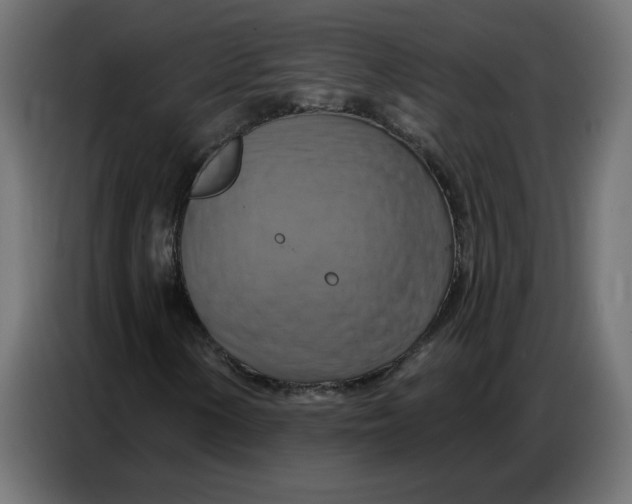 X0000086751154200705041422