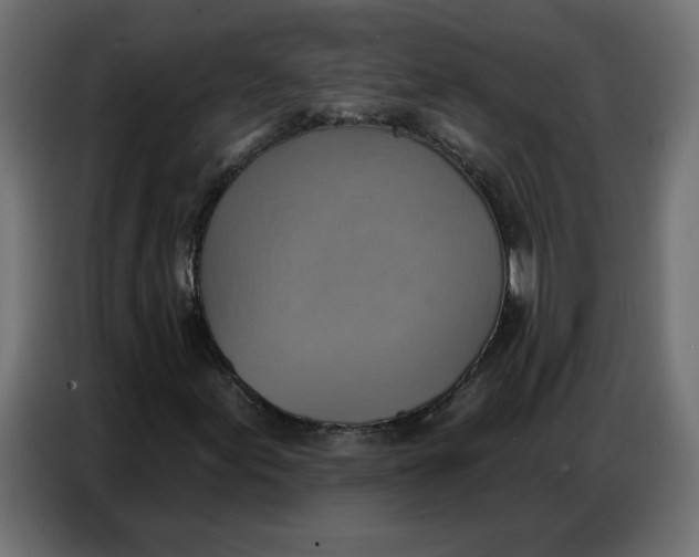 X0000086751155200705041422