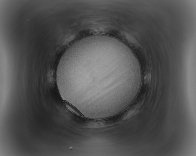 X0000086751156200705041422