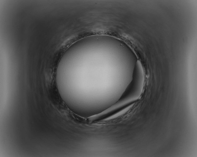 X0000086751157200705041422